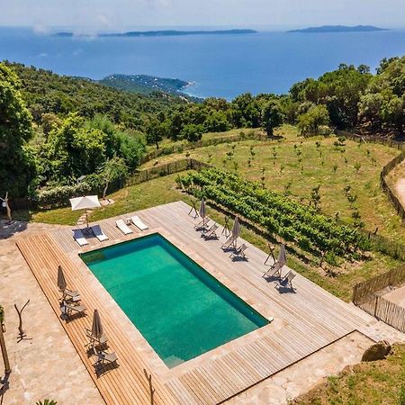 Relais Du Vieux Sauvaire Villa Le Lavandou Buitenkant foto