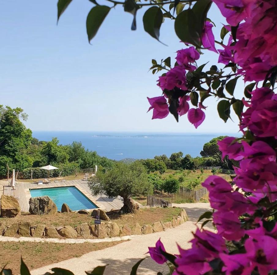 Relais Du Vieux Sauvaire Villa Le Lavandou Buitenkant foto