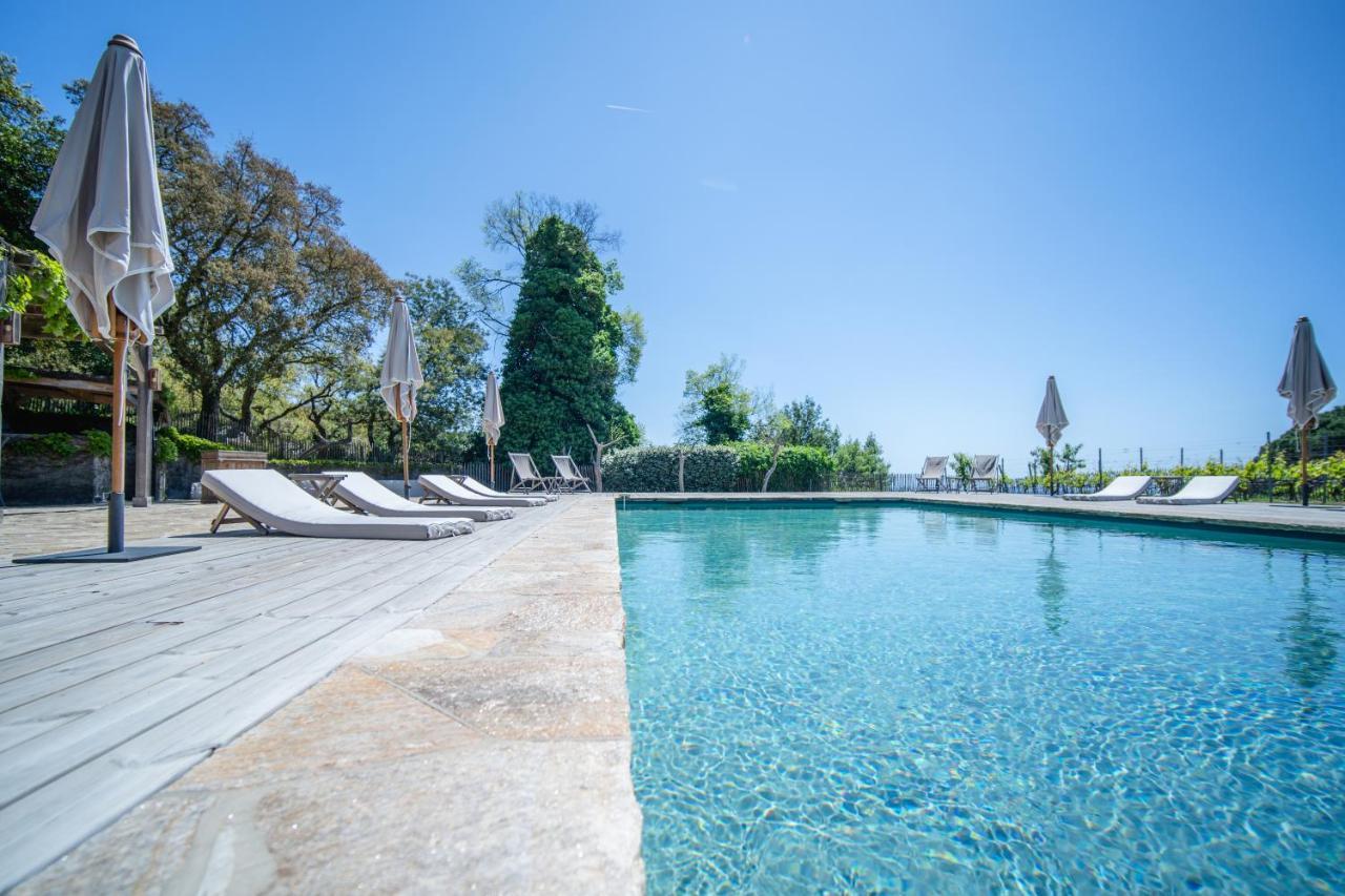 Relais Du Vieux Sauvaire Villa Le Lavandou Buitenkant foto