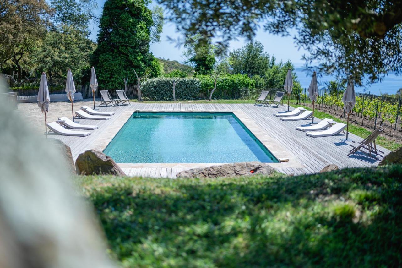 Relais Du Vieux Sauvaire Villa Le Lavandou Buitenkant foto