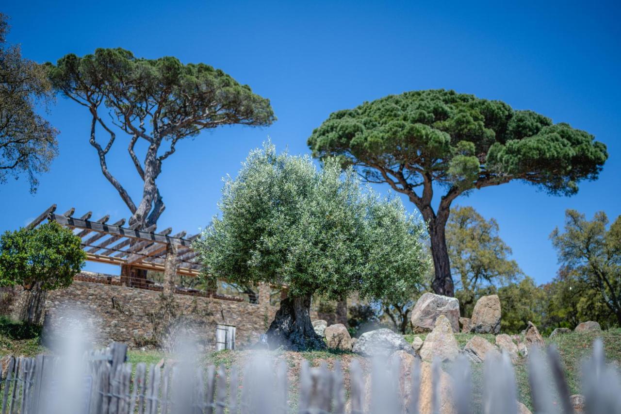 Relais Du Vieux Sauvaire Villa Le Lavandou Buitenkant foto